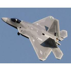 Flyfans F-22 64mm EDF Jet 